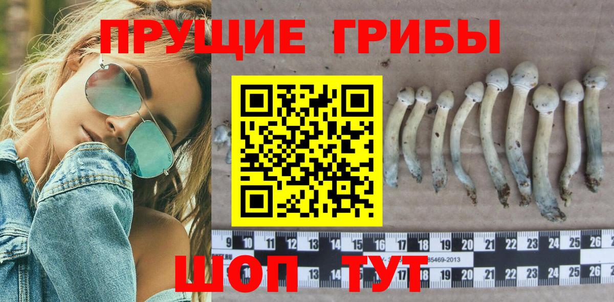 Псилоцибиновые грибы Magic Shrooms  Вход с VPN  Мелеуз  Псилоцибиновые грибы Psilocybine cubensis 